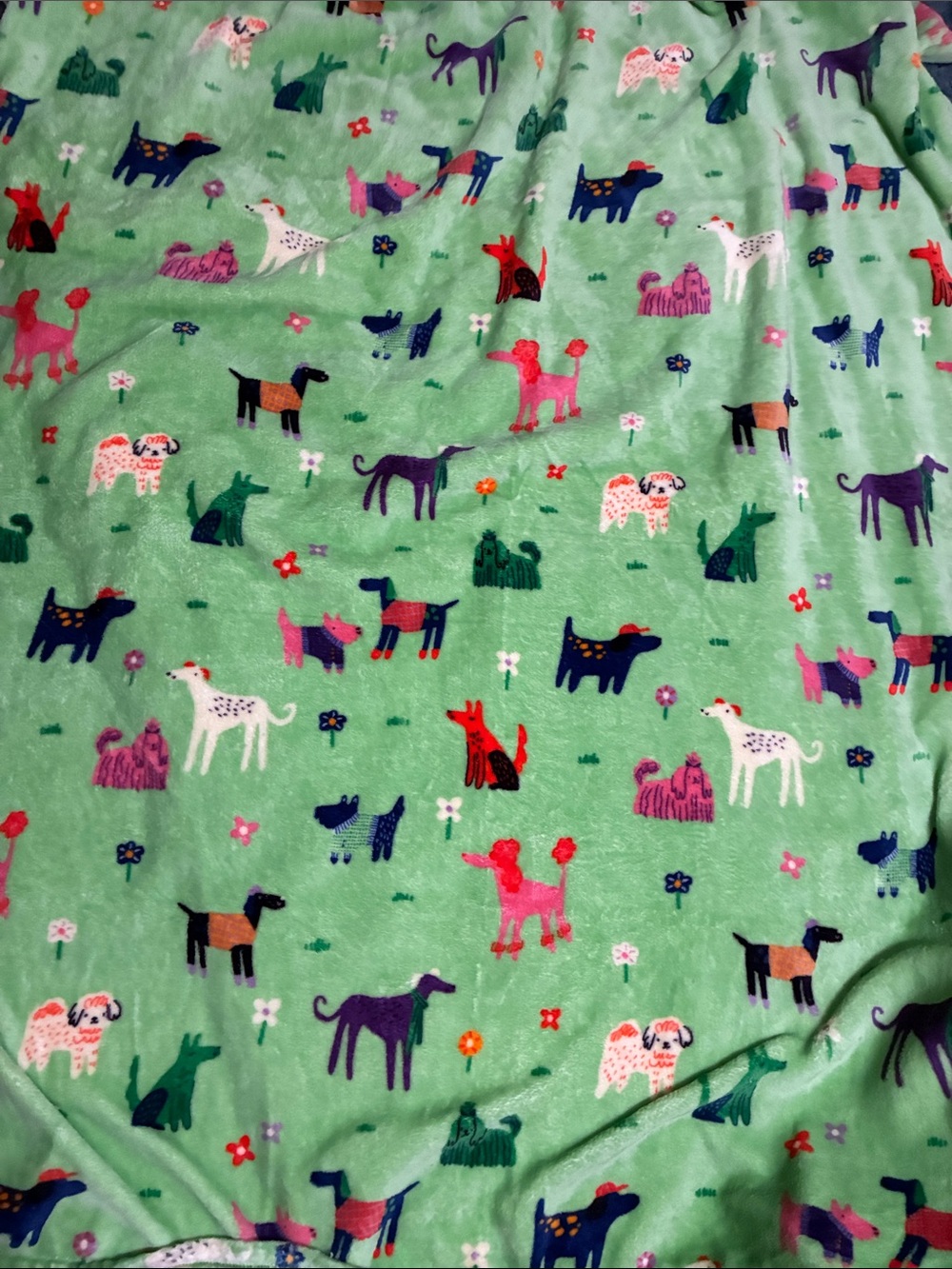 Blankets for Kids (NWOT) - Picture 5 of 12